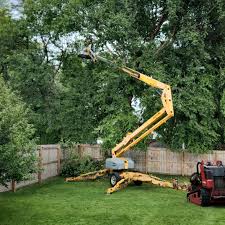 How Our Tree Care Process Works  in  Somerset, TX